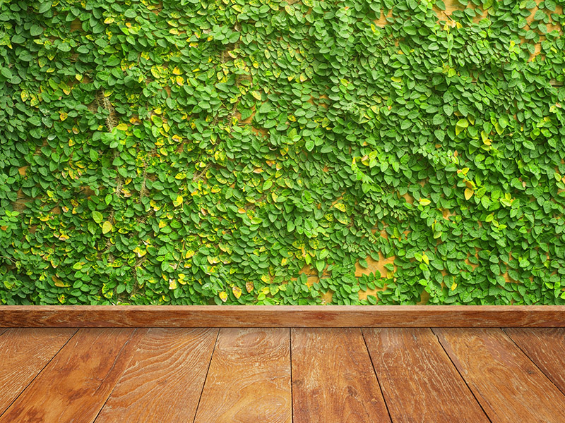 Indoor & Outdoor Artificial Plants in UAE, Dubai, Abu Dhabi