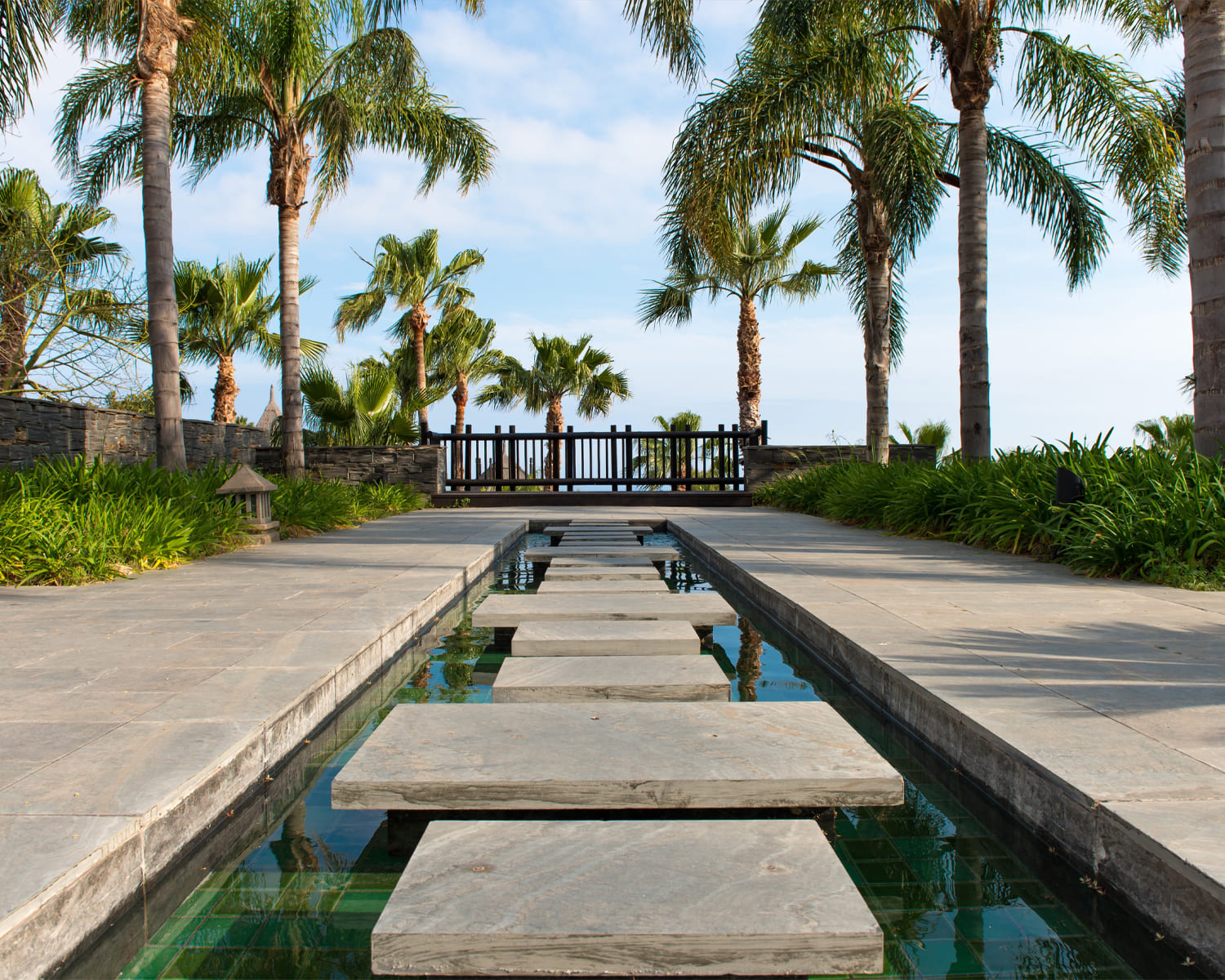 Professional landscaping services by Artwaves in Dubai, UAE